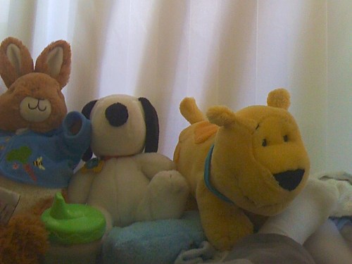 Animals Sleep in my Crib