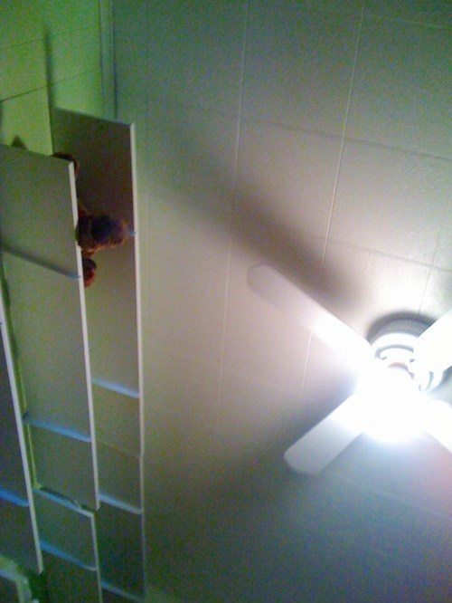 Can You Touch the Sky?