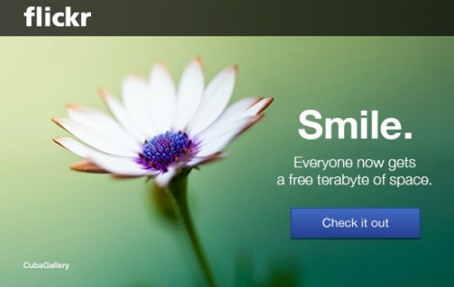 Whenever you receive an email about a ‘change of service,’ smiling is usually not your first reaction. That said, your friends from Flickr seem intent on giving you a tickle. The hard part is deciding how your left brain should respond.
