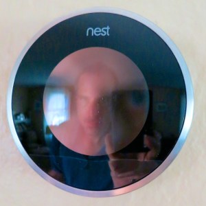 My Nest and Me