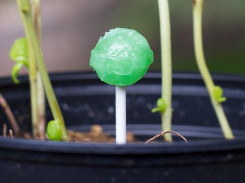 If you’re like me, I’m eager for September 10th to arrive to see what sweet tech has been growing in Apple’s garden.  This annual fall spectacle is a spectator sport as much as an opportunity to upgrade your gadgets. 
