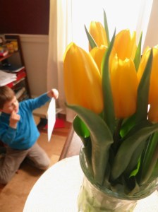 Tulips Spark Creation