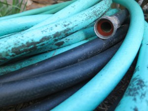 Old Garden Hoses