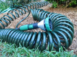 Water Right Coiled Hose and Scotts Sprayer