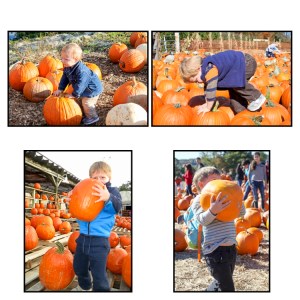 Picking Pumpkins over the Years