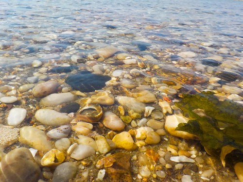 A Thousand Warm Stones