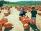 Taking family photo in pumpkin&nbsp;patch