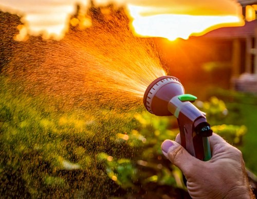 Watering a garden near a house